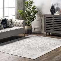 Vintage Look Area Rugs You'll Love in 2023 - Wayfair Canada